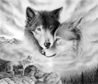 /album/secret-singing-wolves/images-13-kopie-jpg/